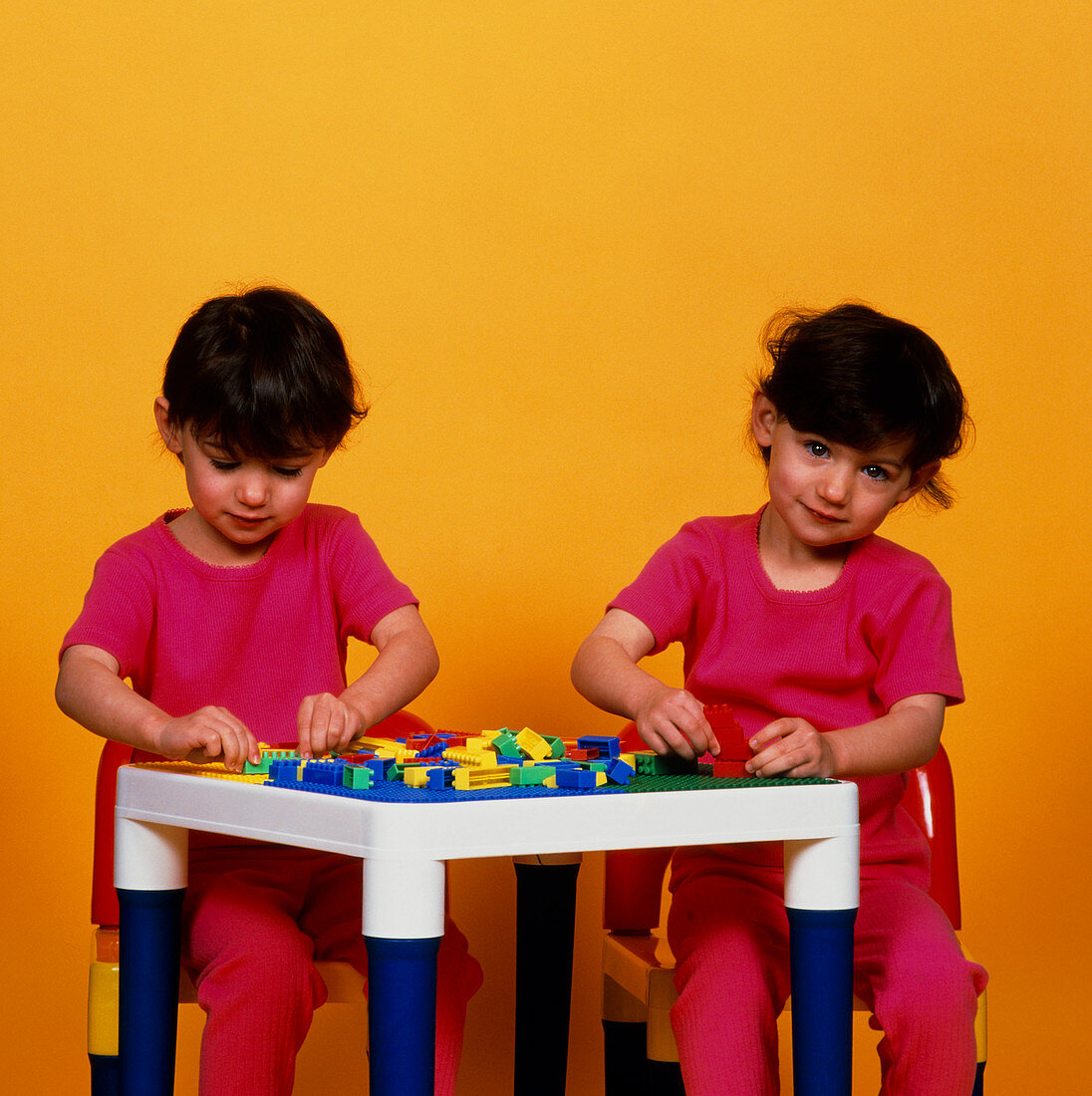 Identical twin girls aged 3 years playing