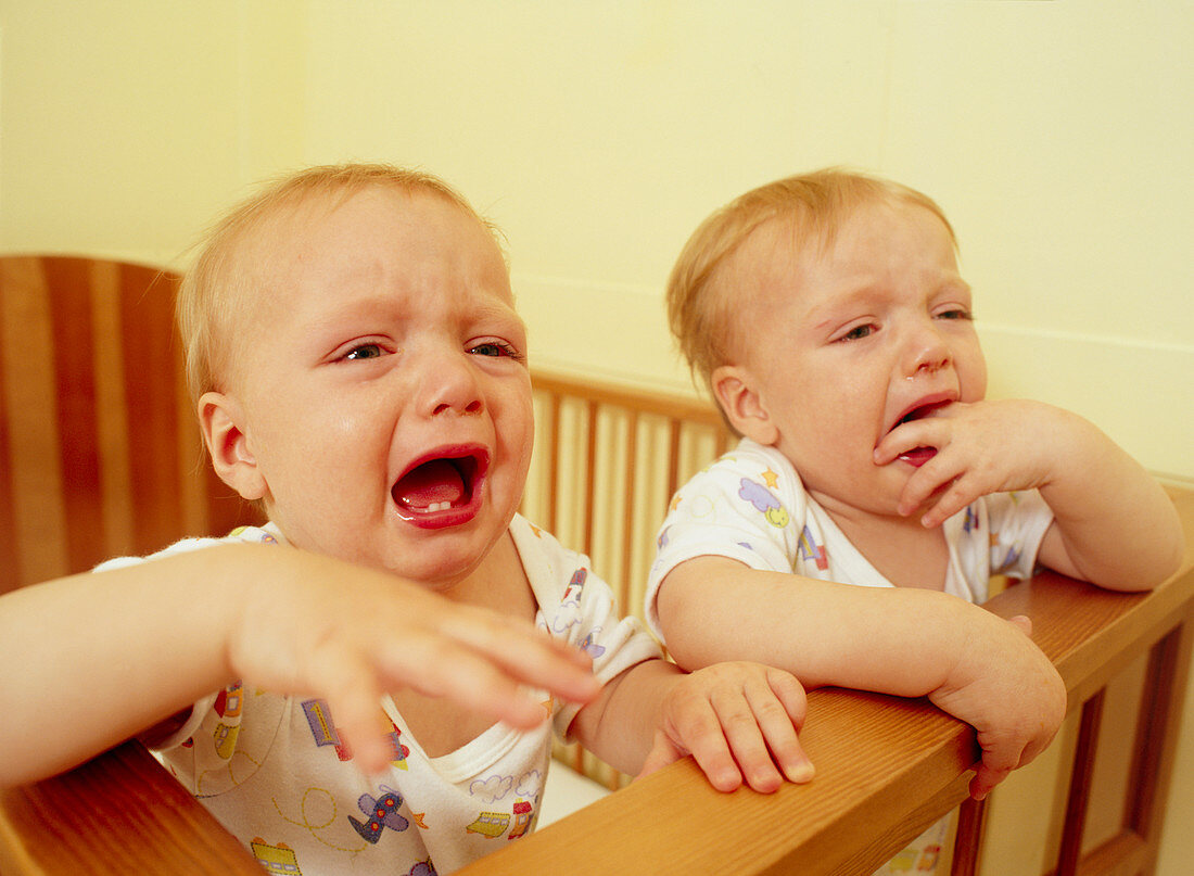 Twin boys crying