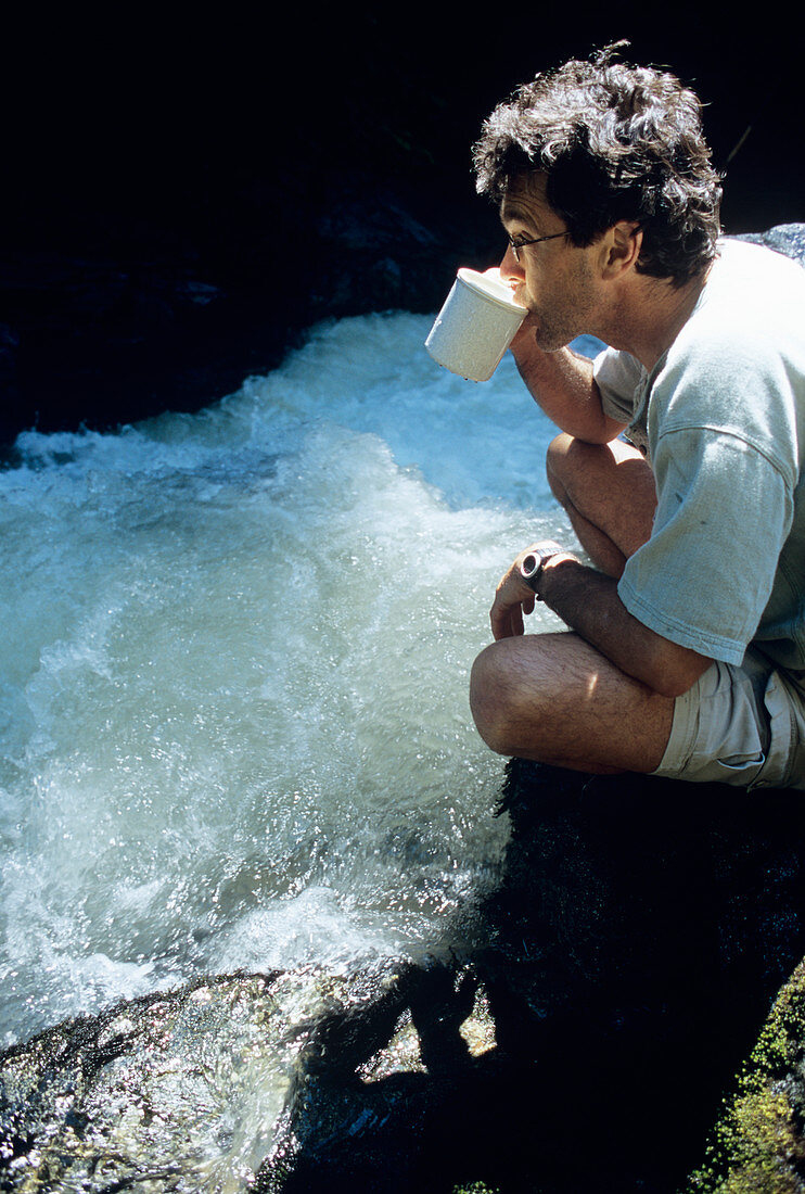 Drinking from a stream