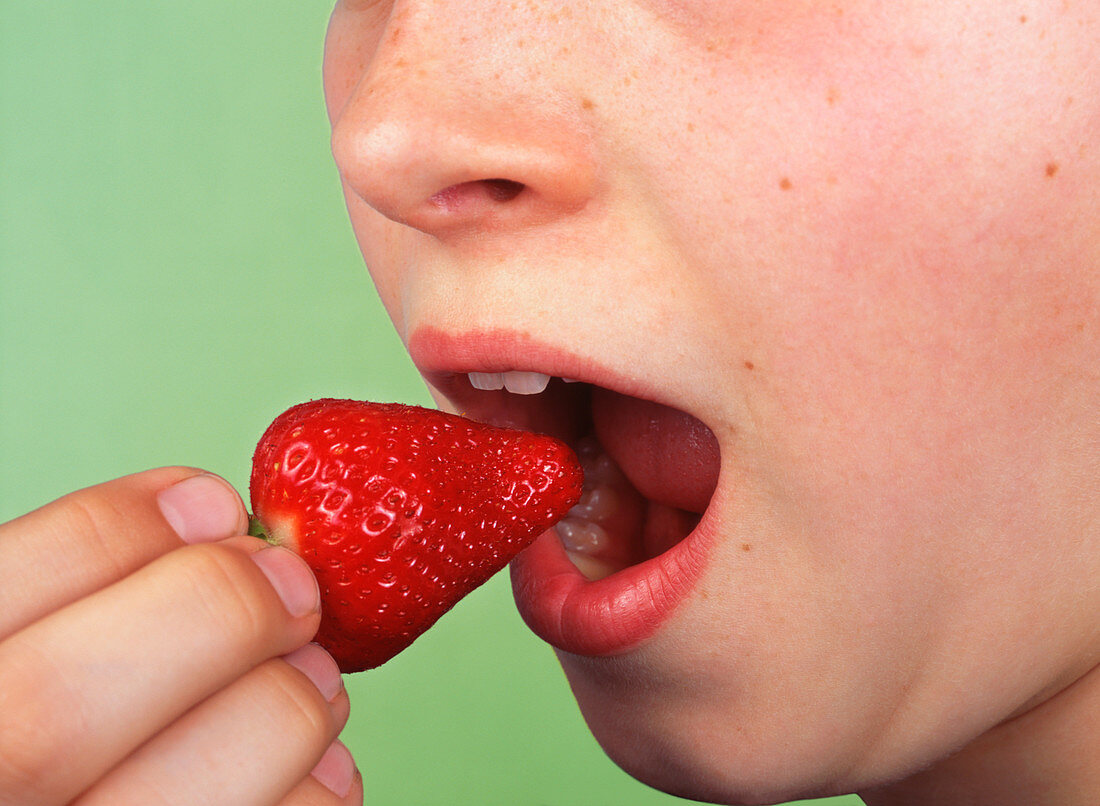Boy eating a strawberry