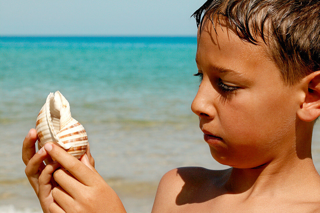 Boy looking at a shell