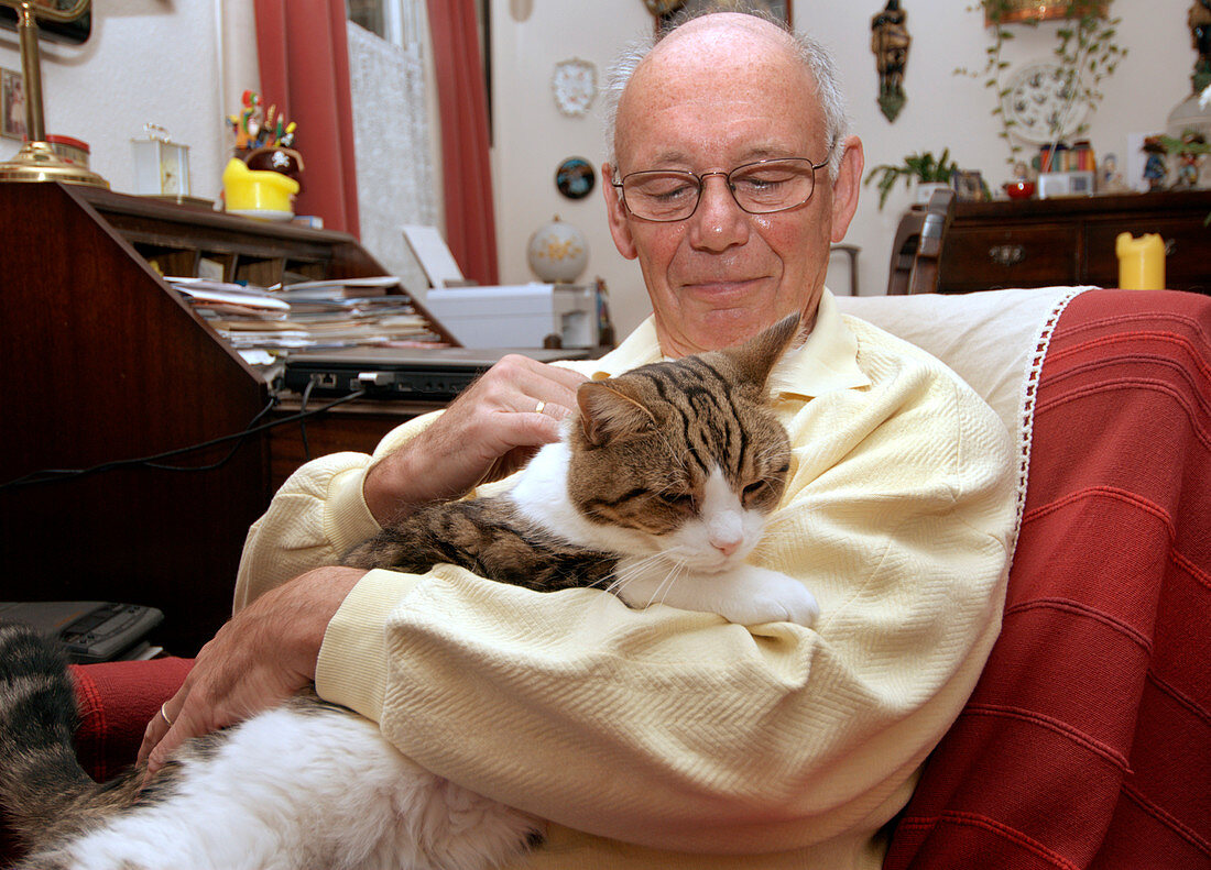 Elderly man stroking cat