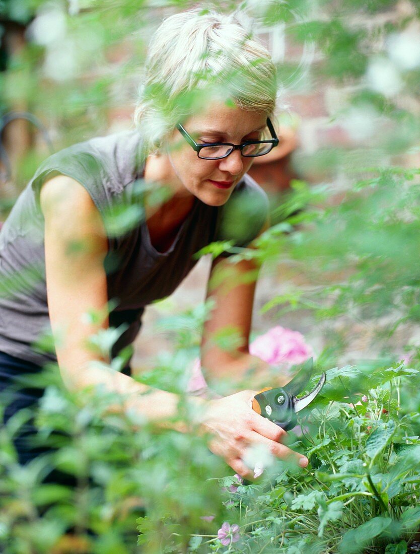 Gardener pruning