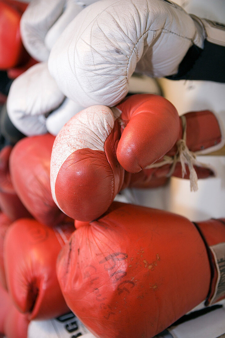 Assorted boxing gloves