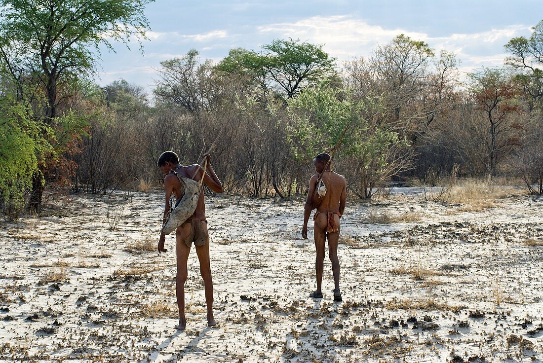 Bushmen,Namibia