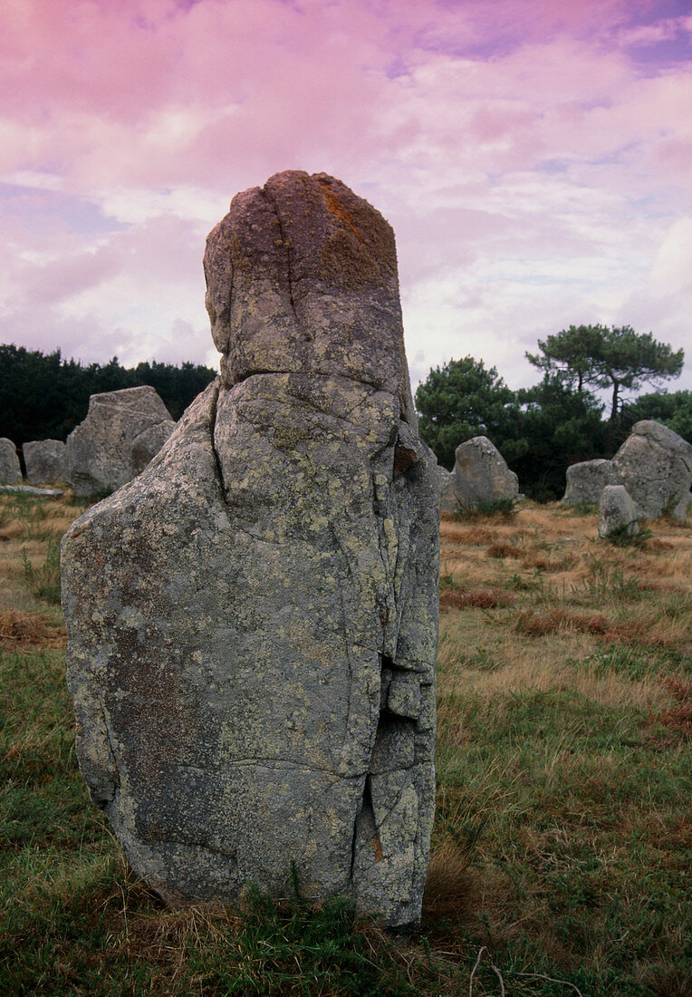 Stone Age standing stones near Carnac,France