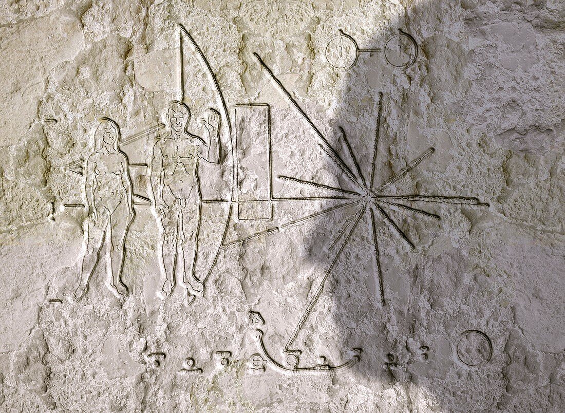 Pioneer plaque conceptual artwork