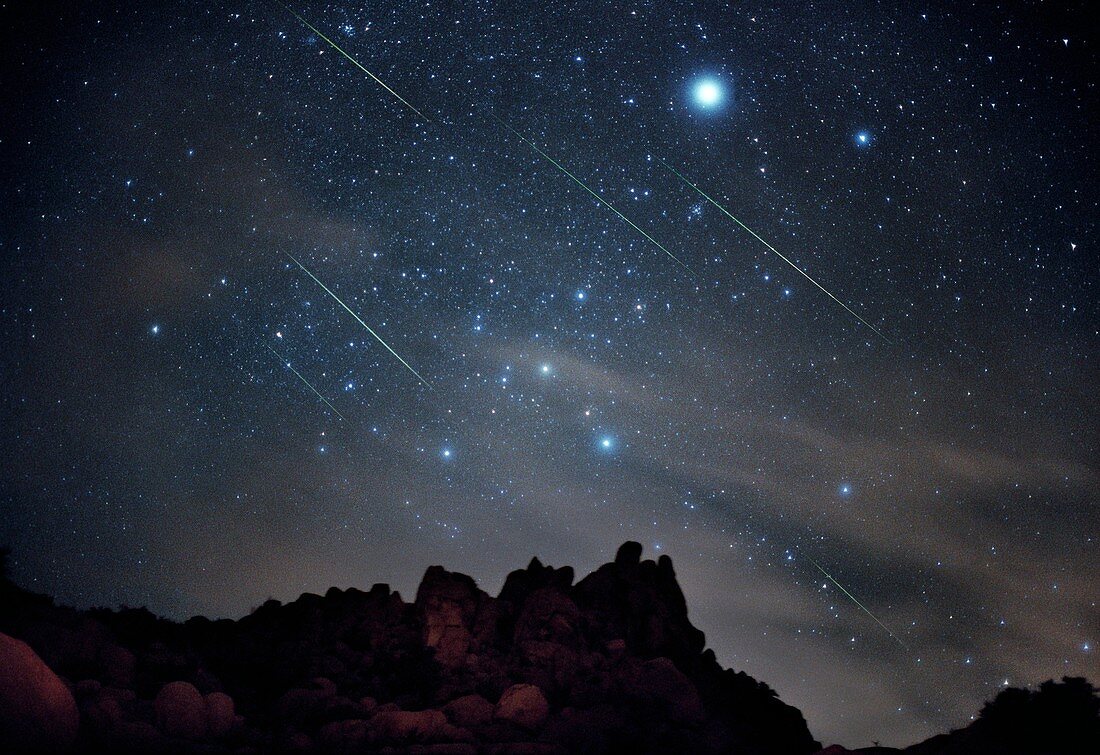 Leonid meteors