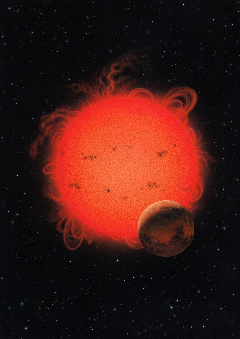 Future red giant Sun
