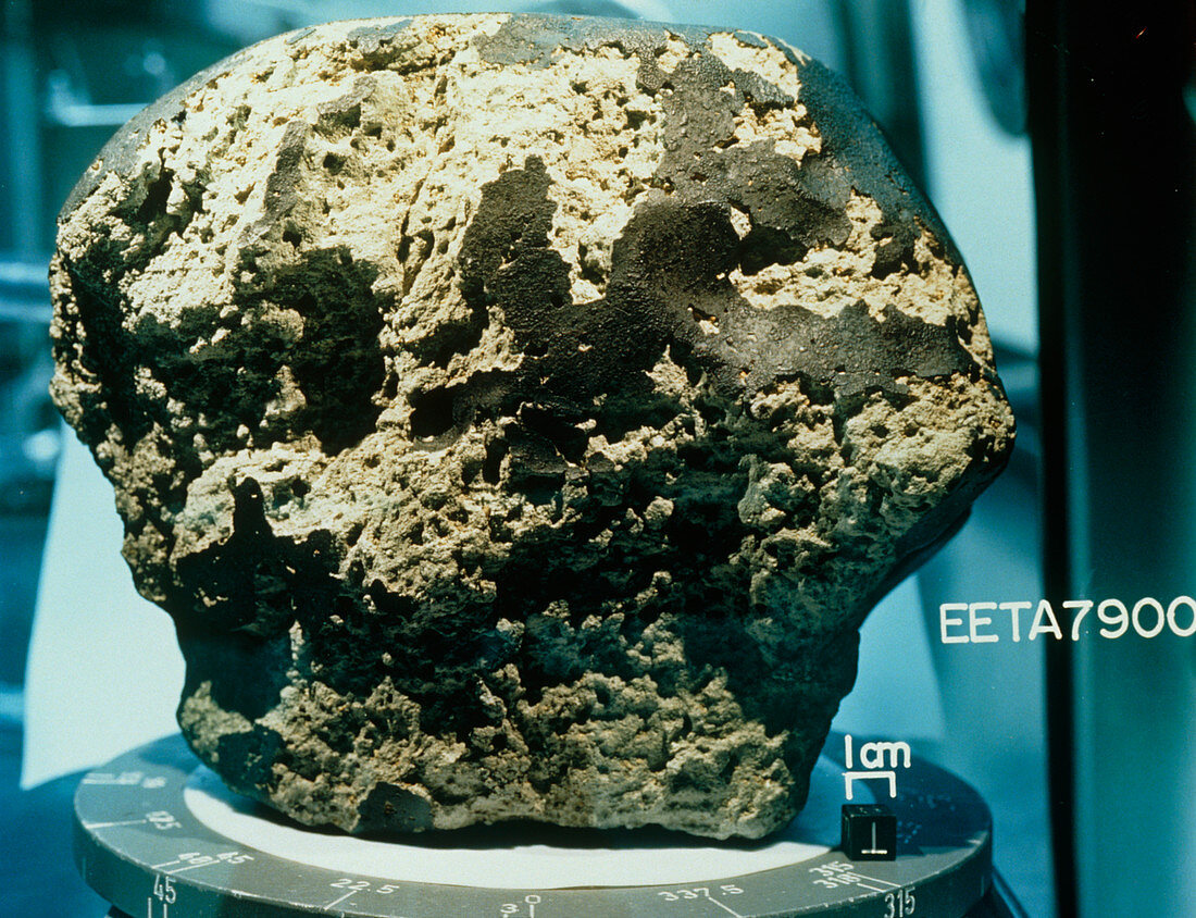 Meteorite found in Antarctica in 1979