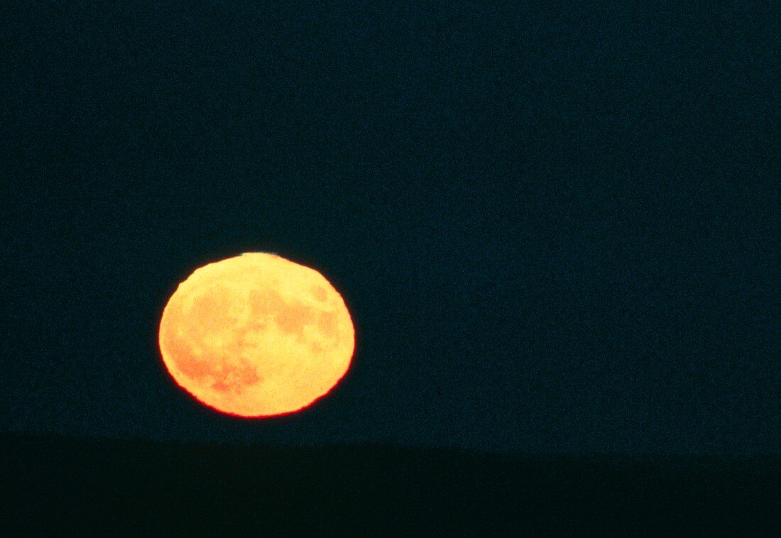 View of the distorted disc of a full Moon