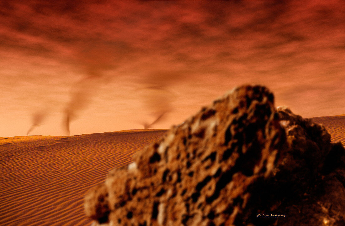Martian dust devils