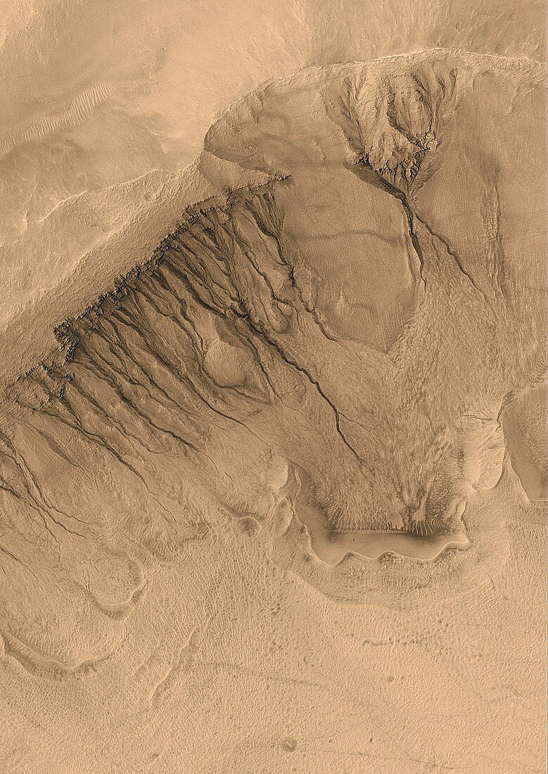 Gullies on a Martian crater wall