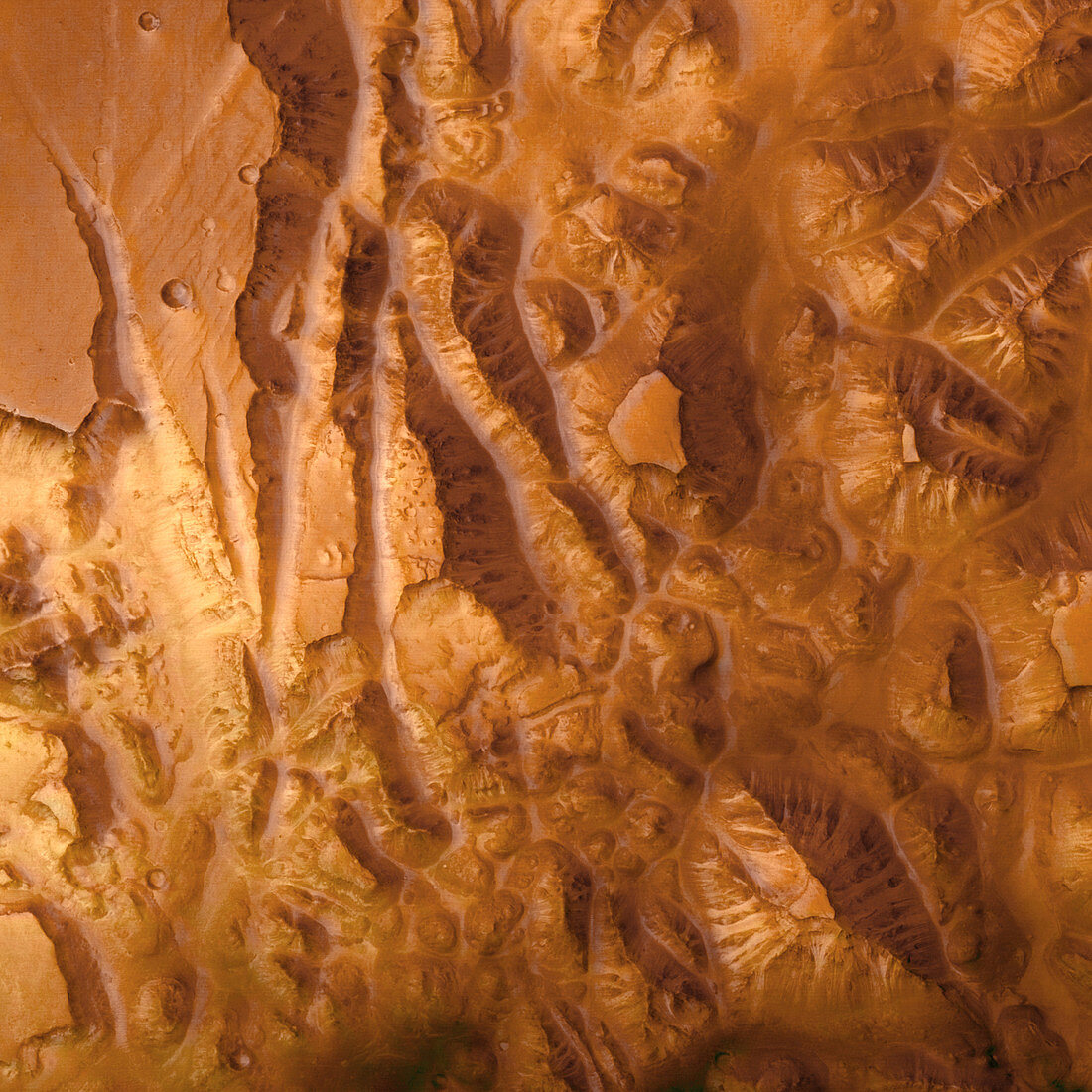 Martian canyons