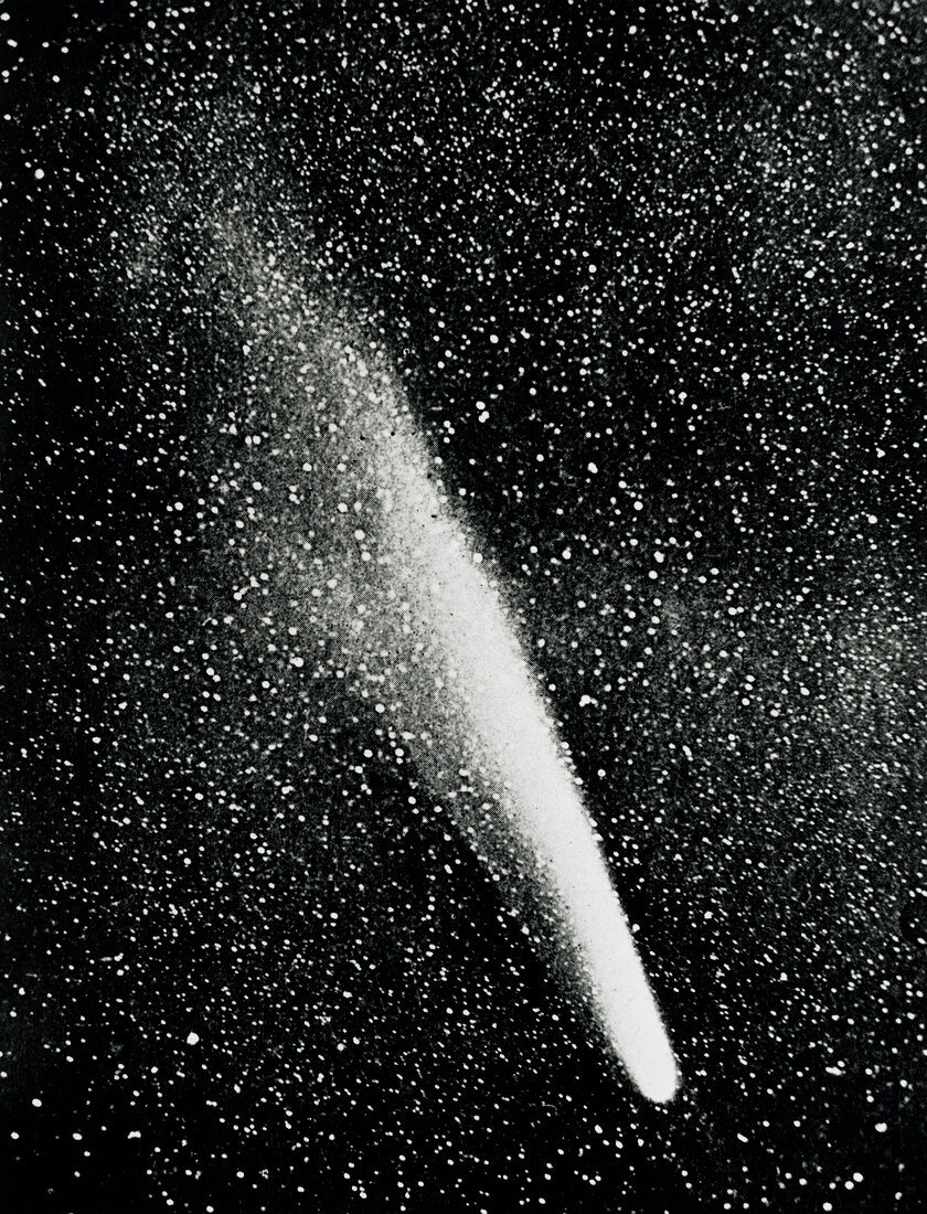 Optical image of the Great Comet of 1882