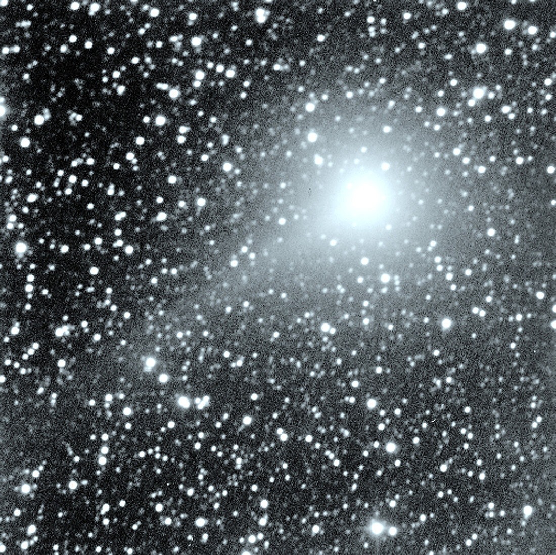 View of comet Williams