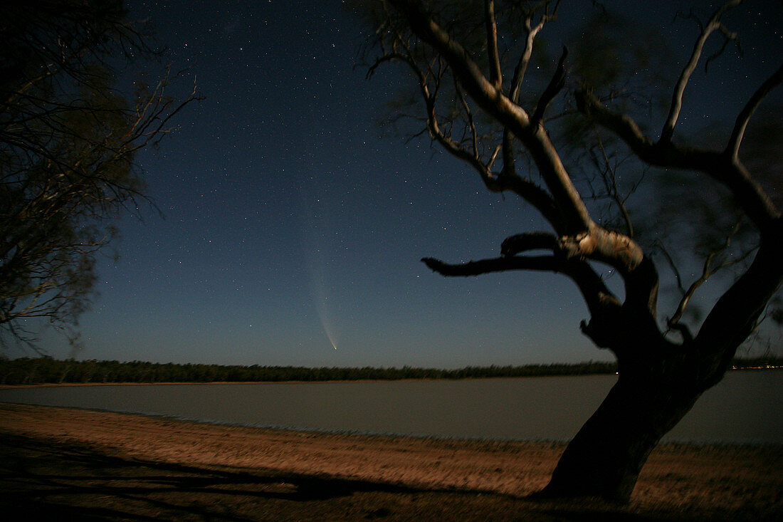 Comet McNaught,27th January 2007
