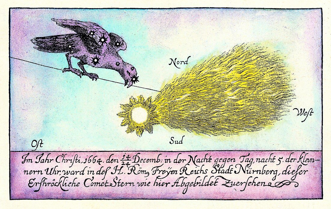 Comet of 1664-5,historical artwork