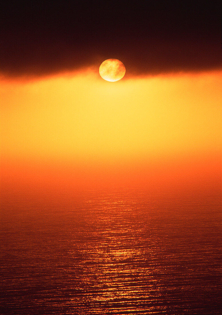 Sunset in ocean fog