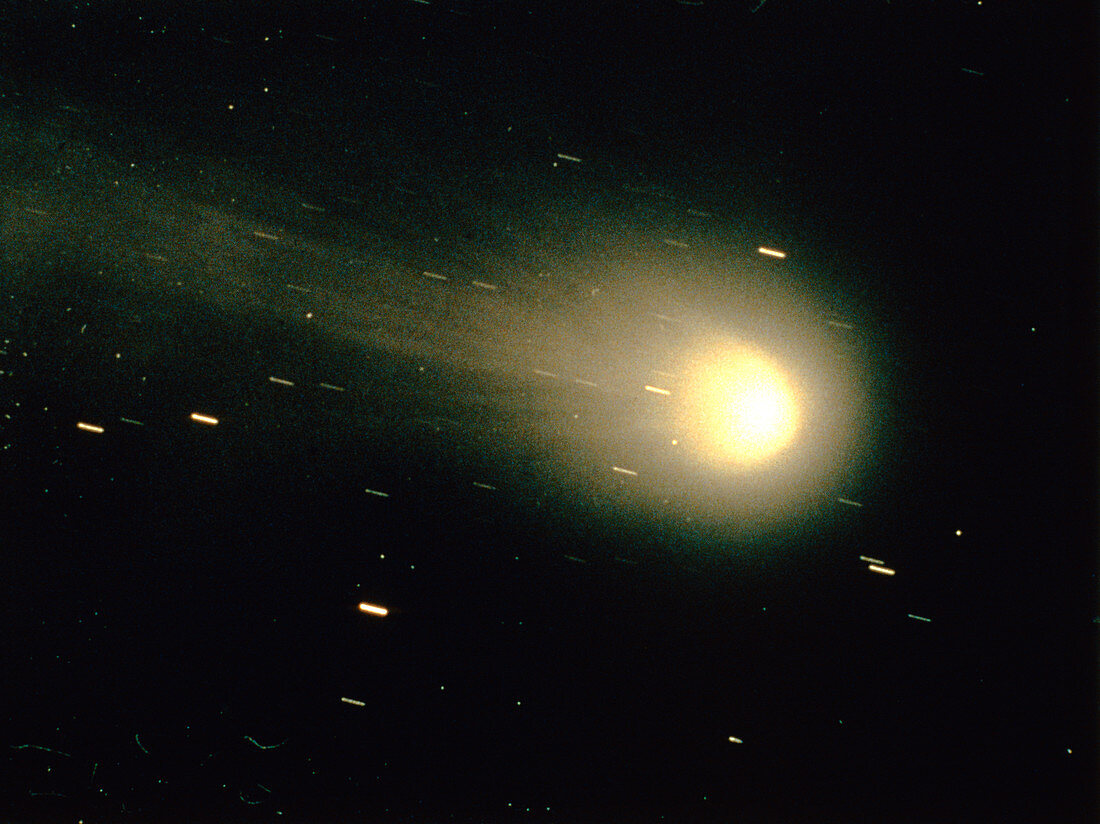 Optical photo of Halley's comet