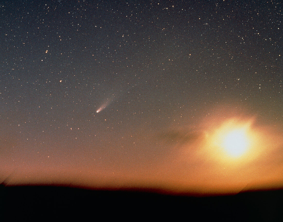 Halley's comet photographed from New Zealand