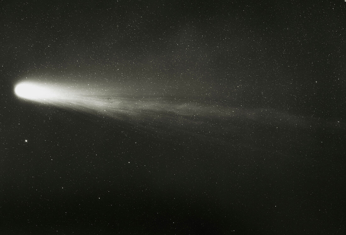 UK Schmidt photo of Halley's Comet,12 March 1986