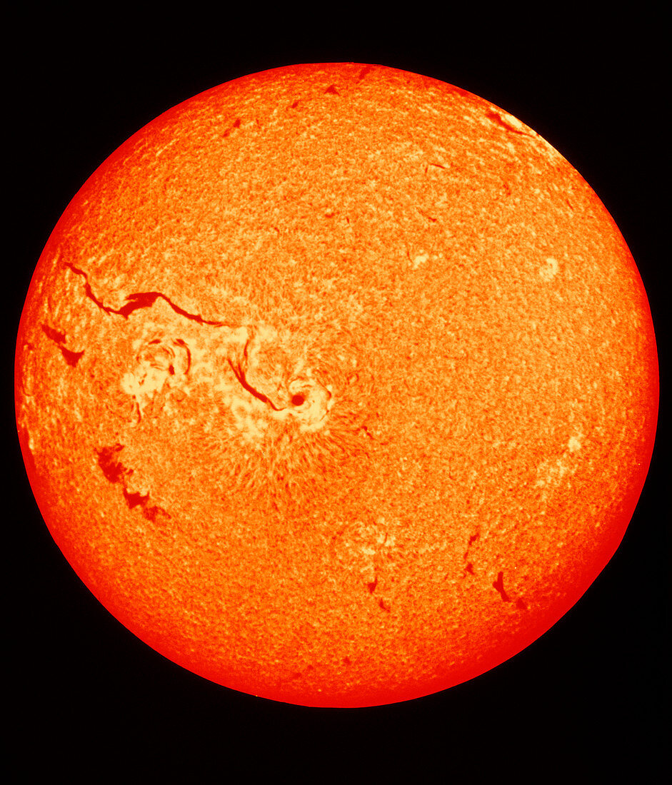 False-colour image of the sun showing sunspots