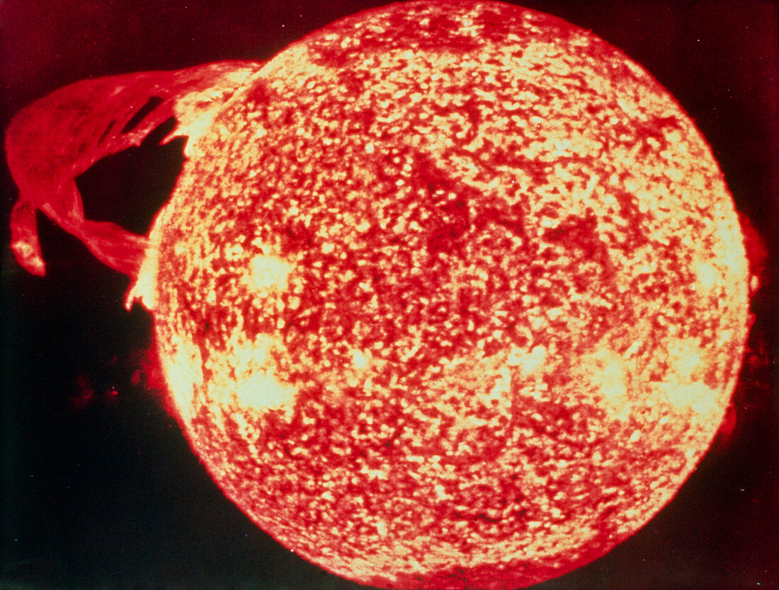False-colour Skylab UV image of a solar prominence