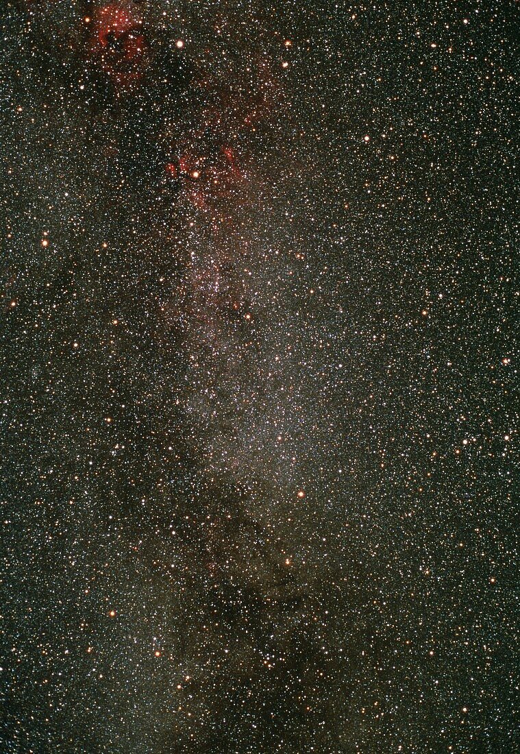 Optical image of the constellation Cygnus