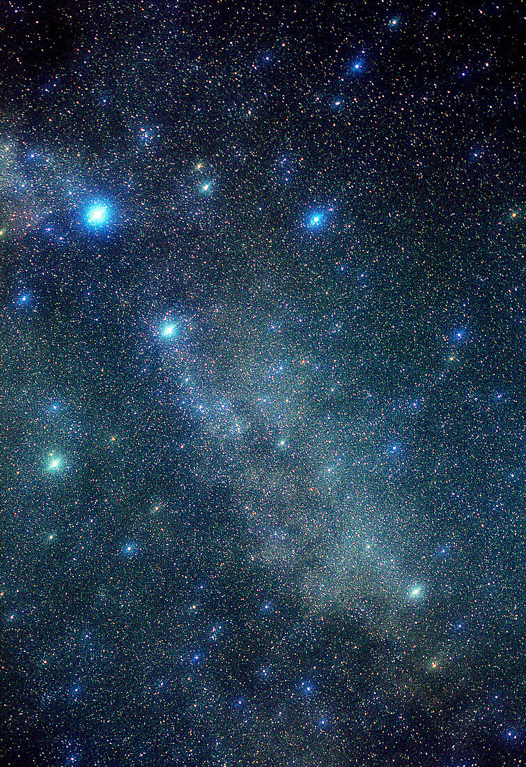 Cygnus constellation