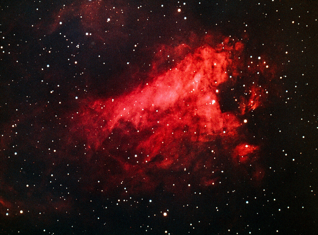 Optical photograph of the Omega Nebula