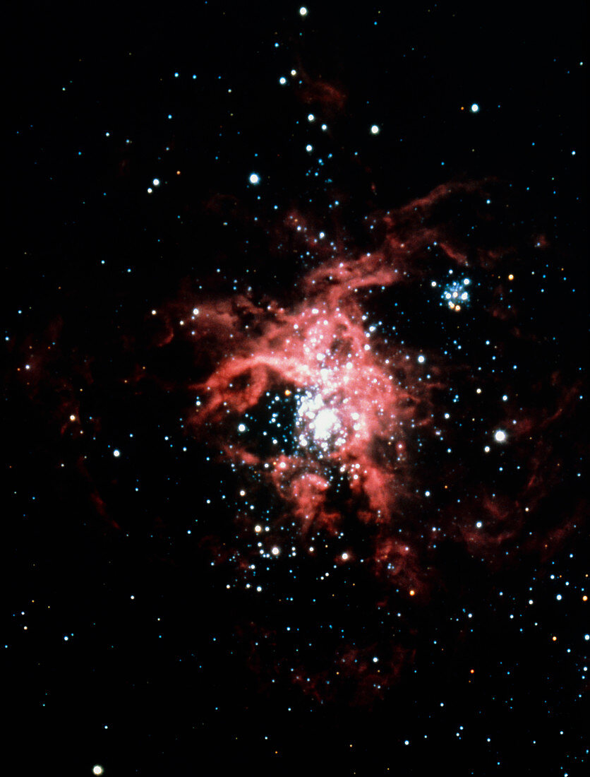 Optical photograph of the Tarantula Nebula