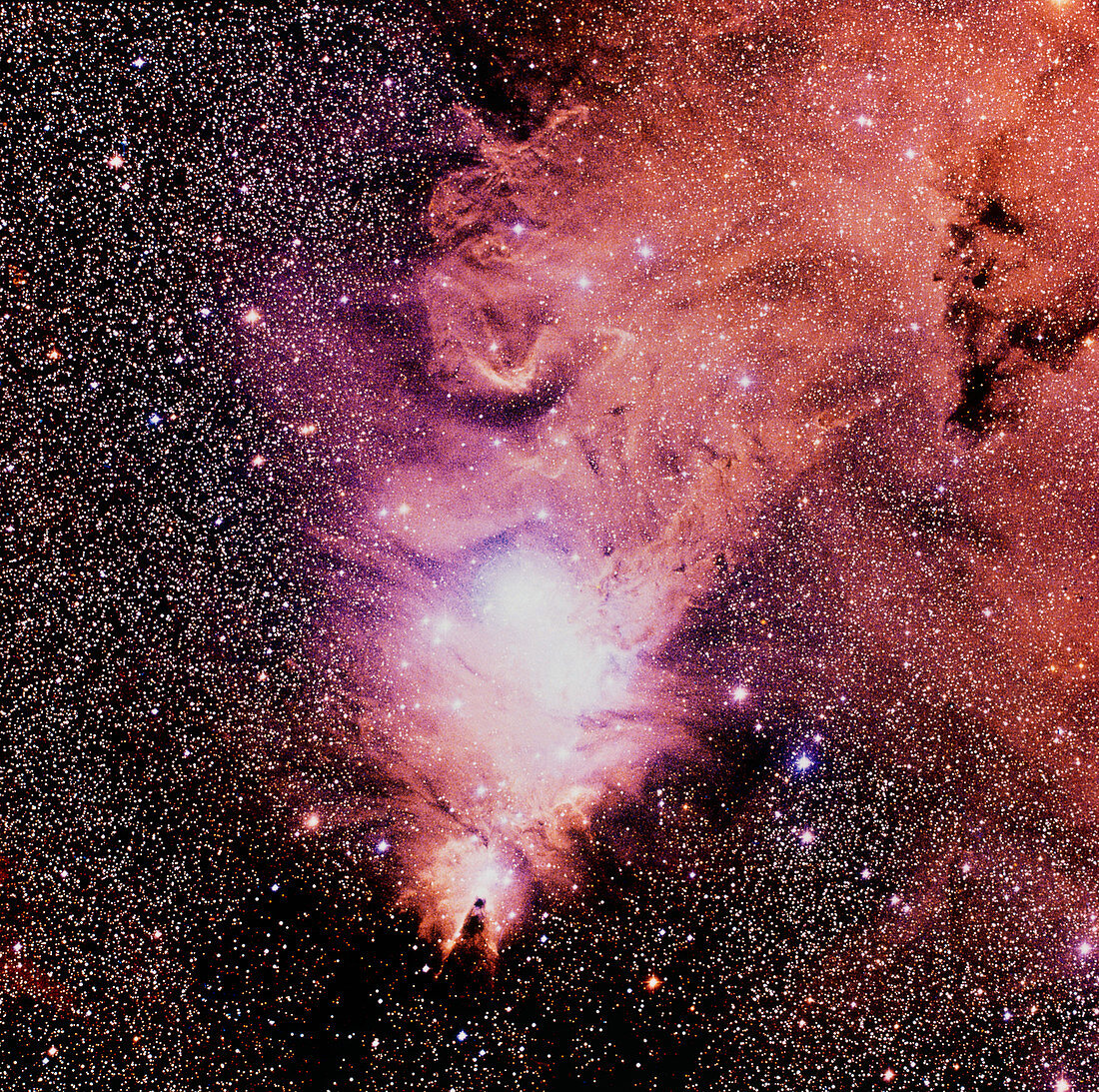 Optical image of the Cone nebula in Monoceros