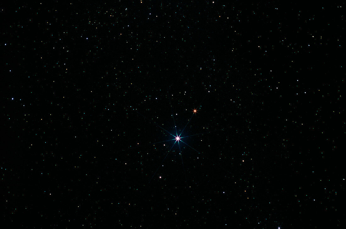 Star Altair in the constellation of Aquila