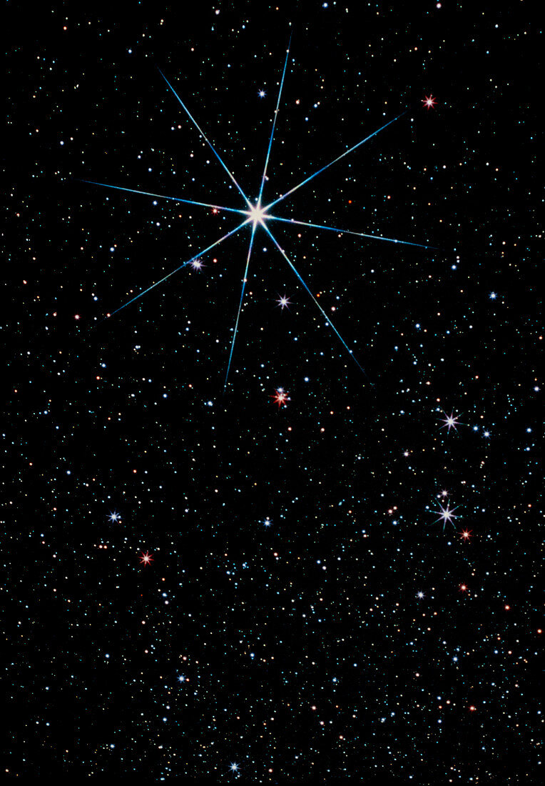 Star Vega in the constellation of Lyra