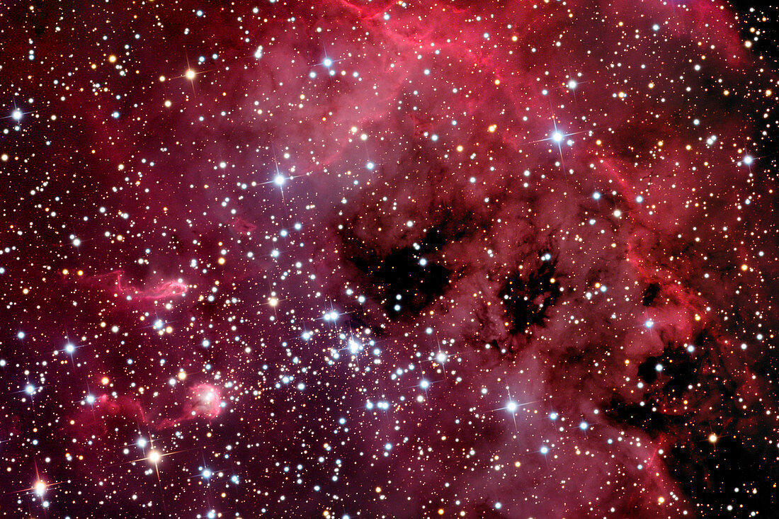 Tadpole nebula (IC 410)