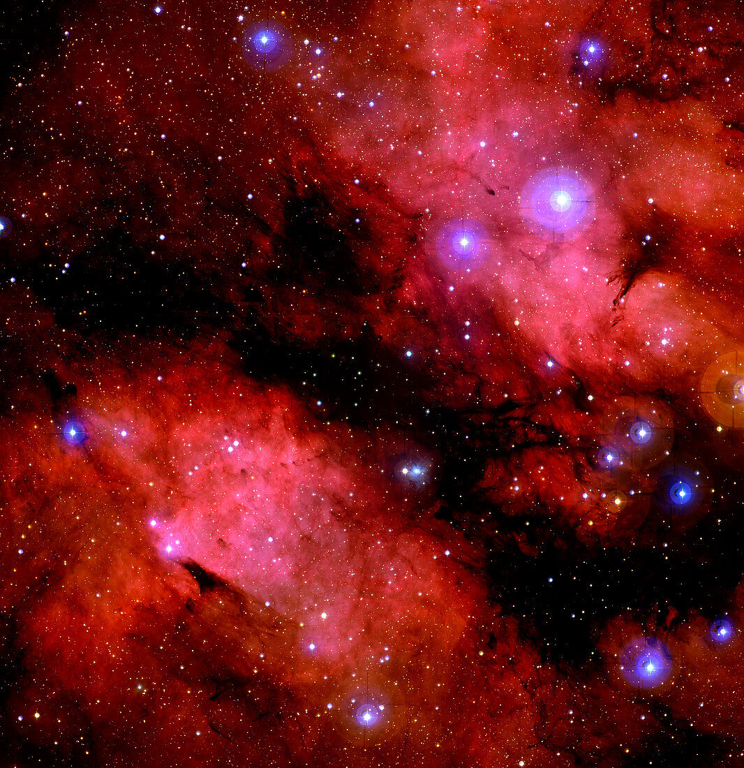 Dark Nebula LDN 889