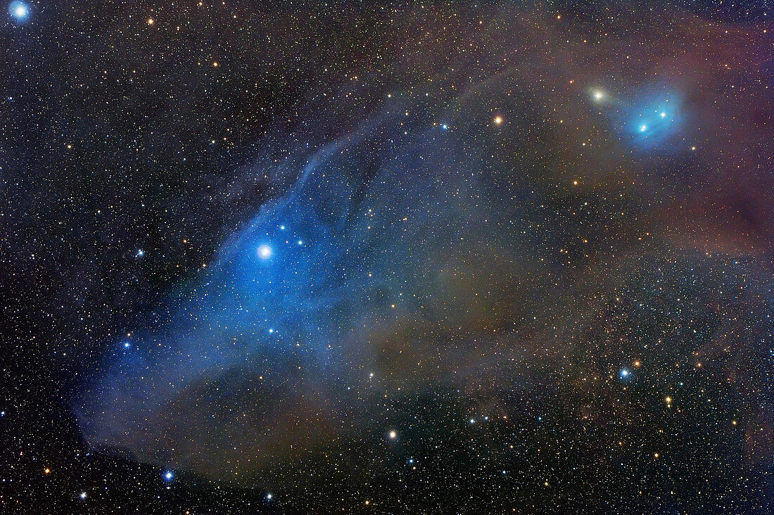 Reflection nebula (IC 4592)