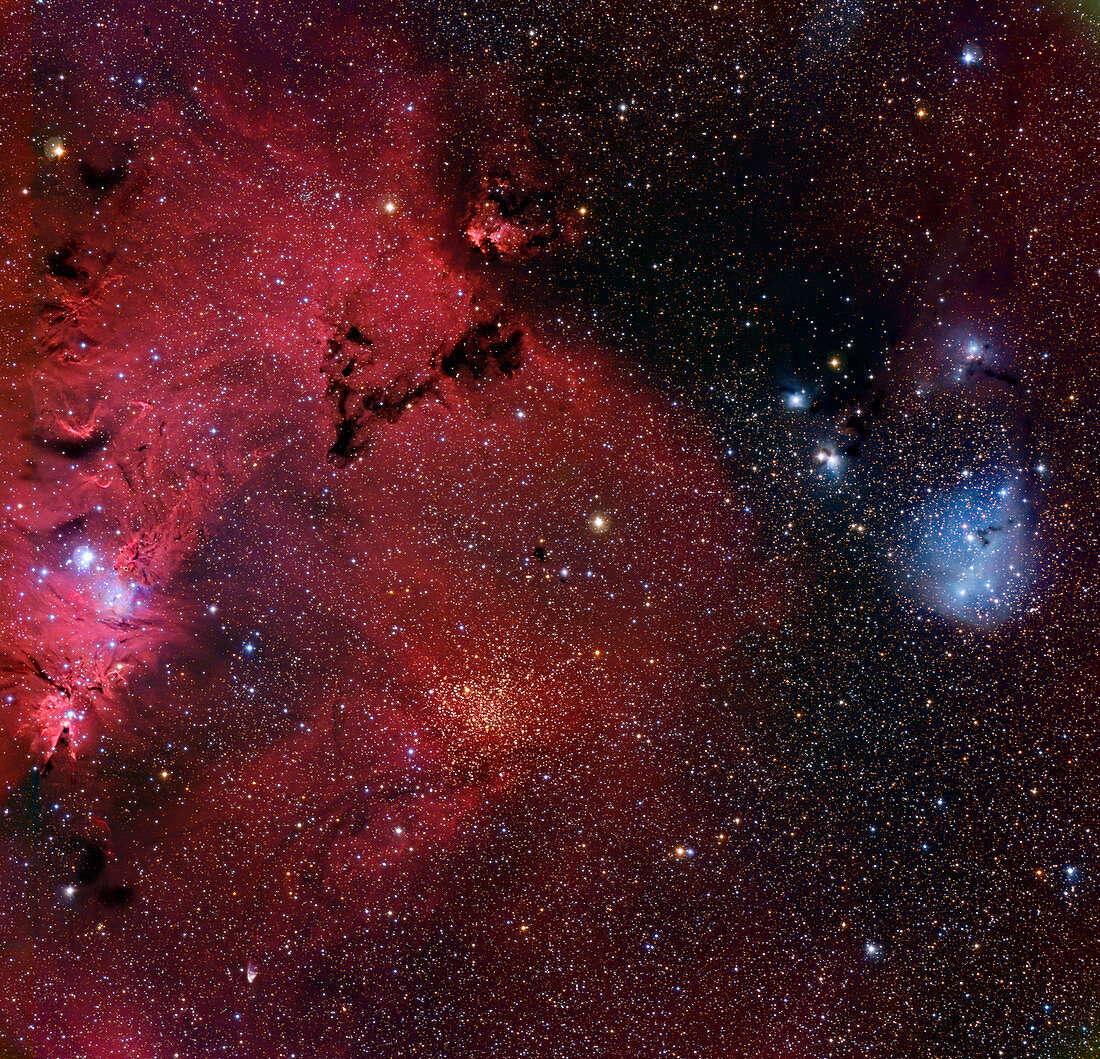Cone nebula and IC 2169,optical image