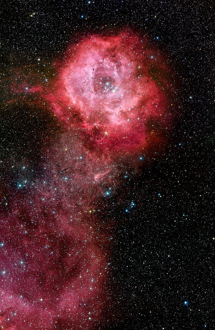 Rosette nebula (NGC 2244),optical image