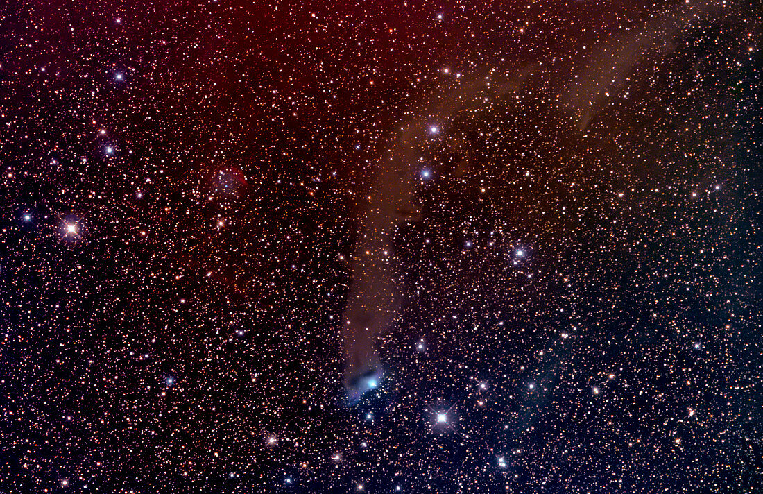 Nebulae Ced 201 & VdB 152,optical image