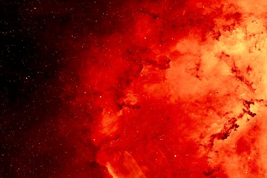 Rosette nebula,infrared image