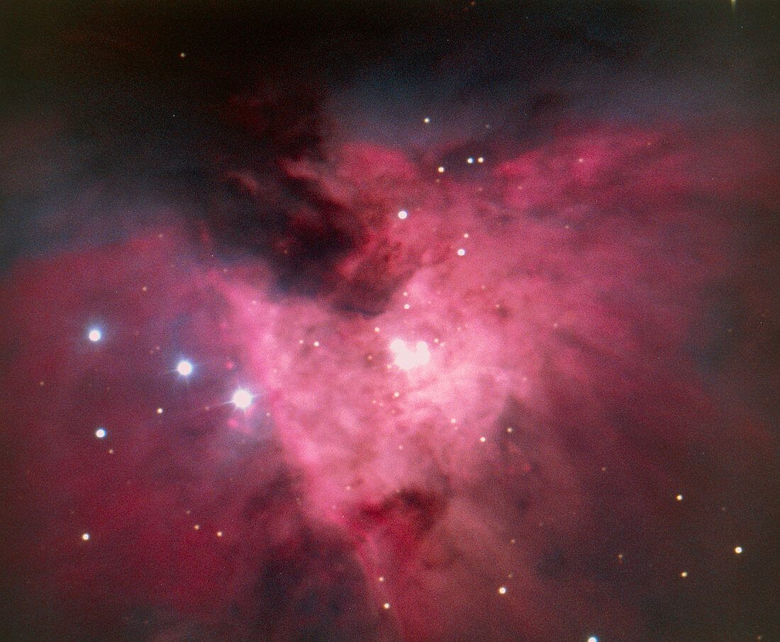 The Trapezium and part of the Orion Nebula