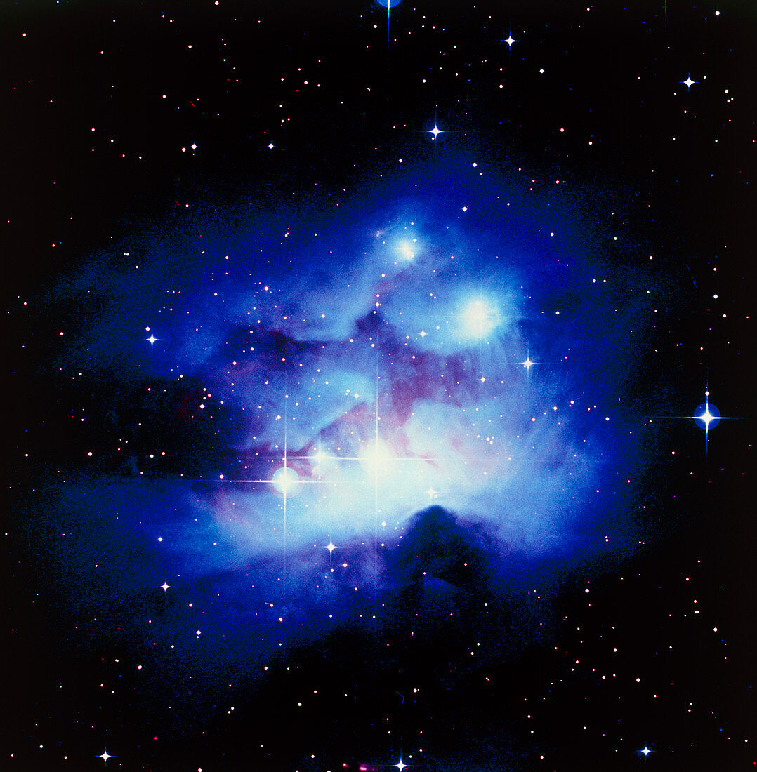 Optical image of the nebula NGC 1977 in Orion