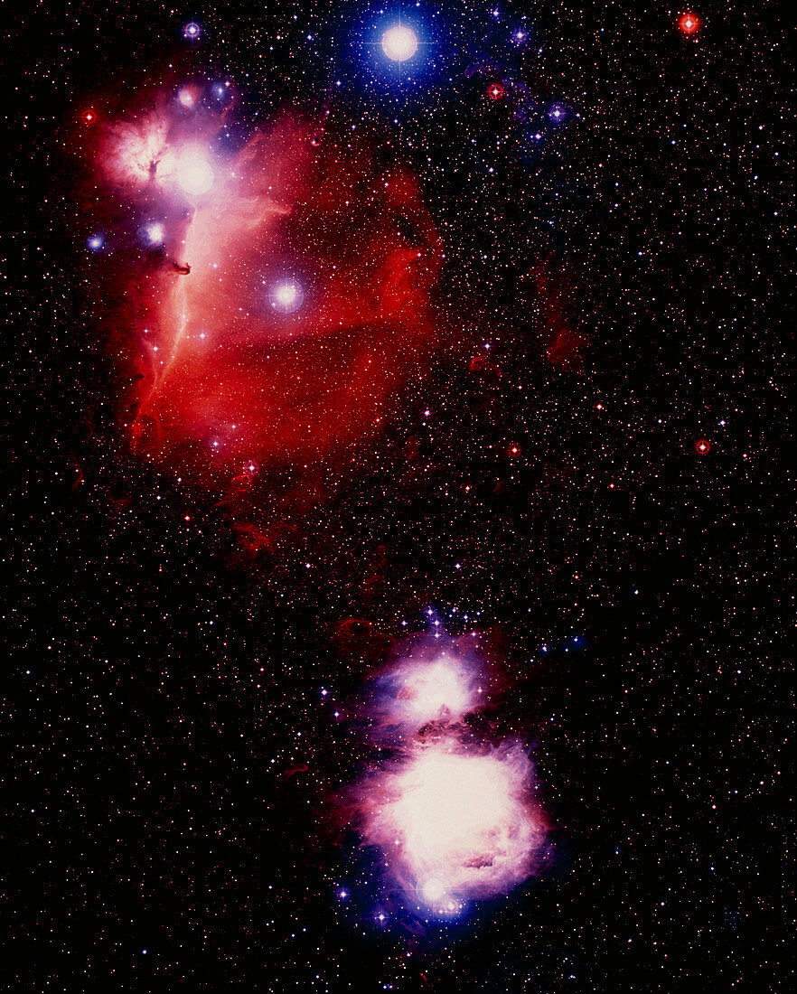 Optical image of Horsehead and Great Orion nebula