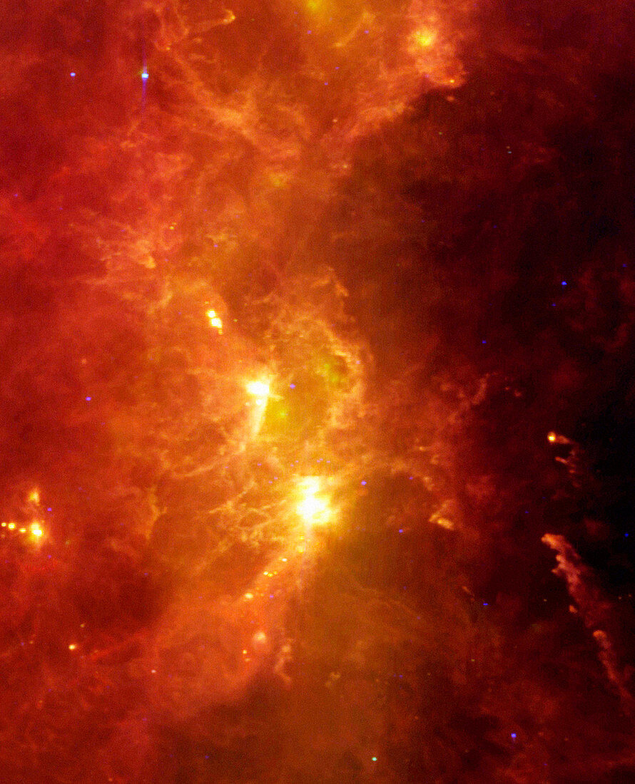 Orion nebula,infrared image