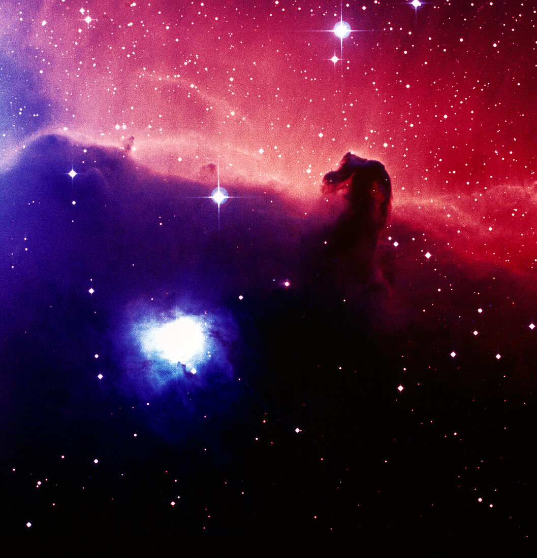 Optical image of the Horsehead nebula in Orion