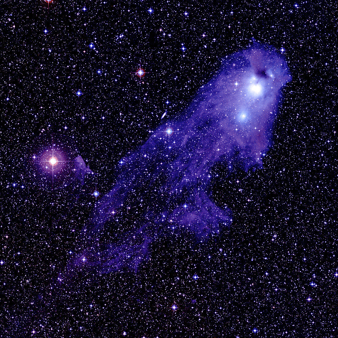 Nebula NGC 5367