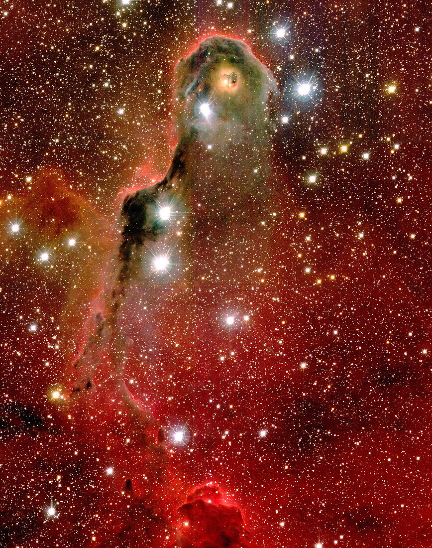 Emission nebula IC 1396