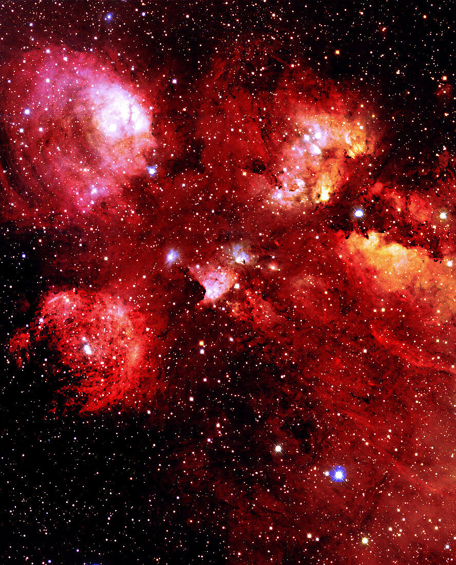 Bear Claw Nebula